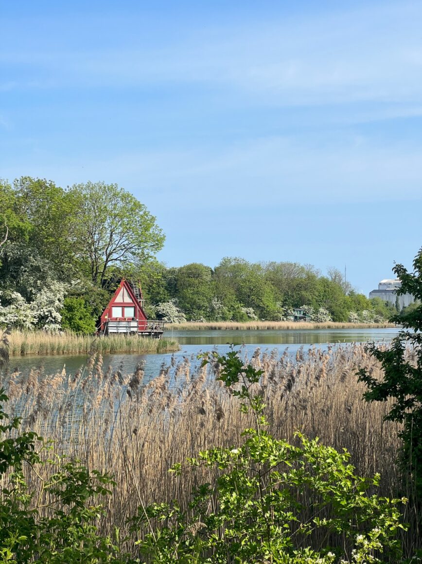 Vue du quartier de Christiana