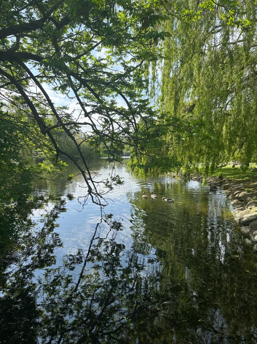 Excursion à Malmö en Suède depuis Copenhague