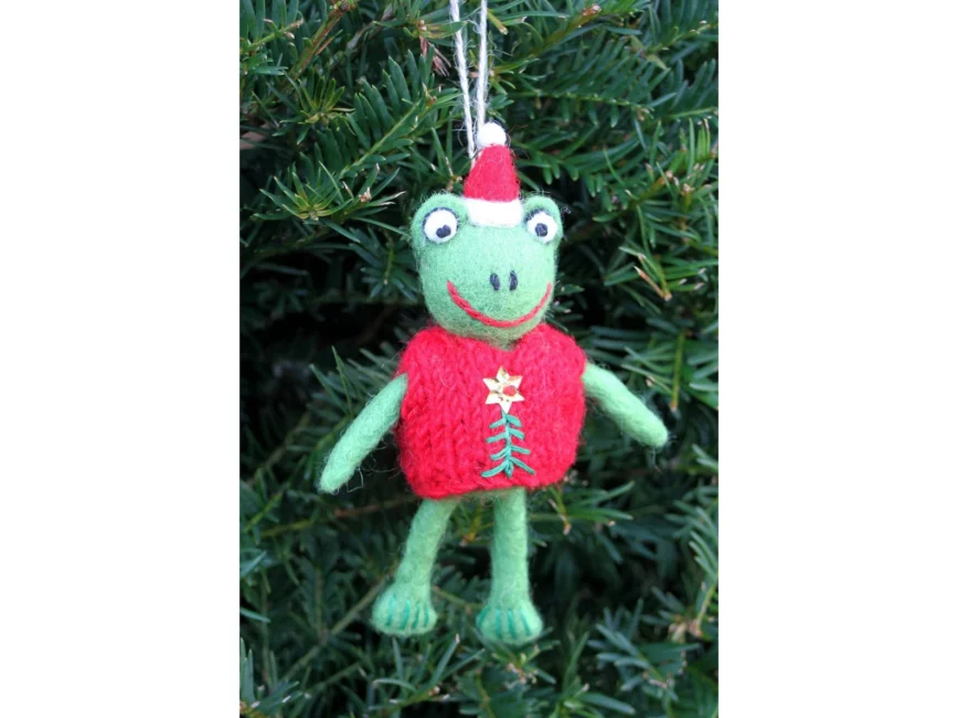 Grenouille en pull de noel