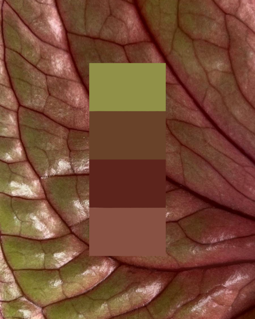 blog déco uchi studio