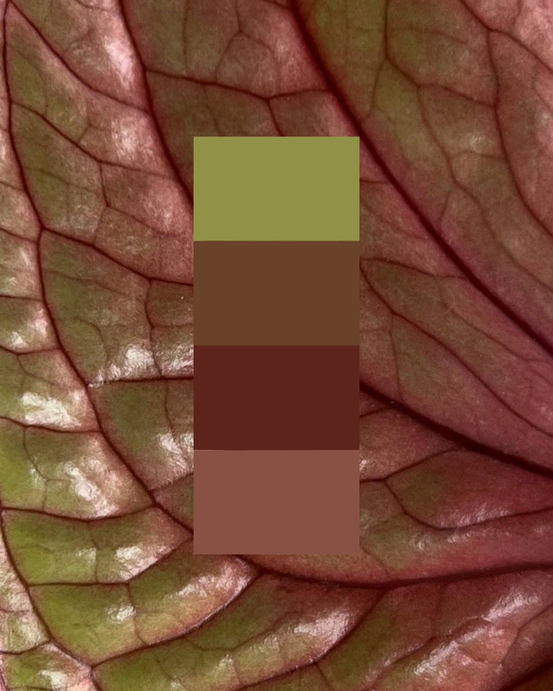 blog déco uchi studio